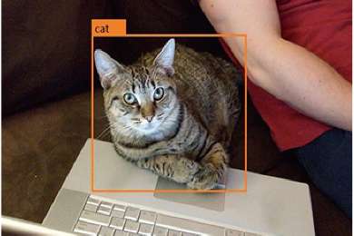 【宠物识别，宠物跟踪】- 宠物识别、跟踪算法，通过算法识别宠物猫、狗，支持品 -【新疆爱华盈通信息技术有限公司】