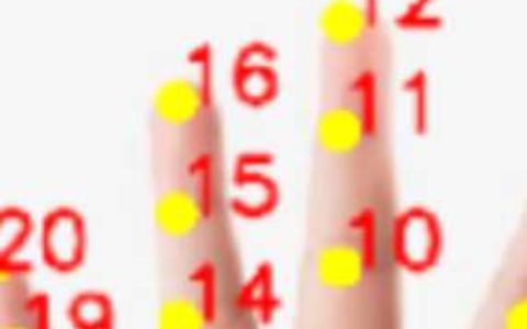 【手部分析与跟踪】- 海量真实数据训练，针对移动端深度优化； -【新疆爱华盈通信息技术有限公司】