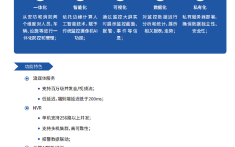 【私有云视觉平台】- 博润私有云视觉平台依托边缘计算人工智能技术，对接入 -【南京博润类脑智能技术有限公司】