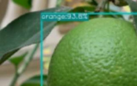【果蔬识别】- 海量真实数据训练，针对移动端深度优化； -【新疆爱华盈通信息技术有限公司】