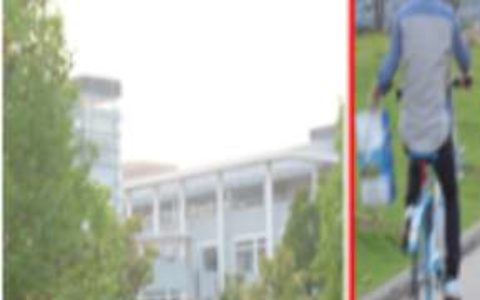 【行人属性和动作识别】- 基于时序信息判断，极大减小了误报 -【新疆爱华盈通信息技术有限公司】