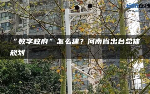 “数字政府”怎么建？河南省出台总体规划