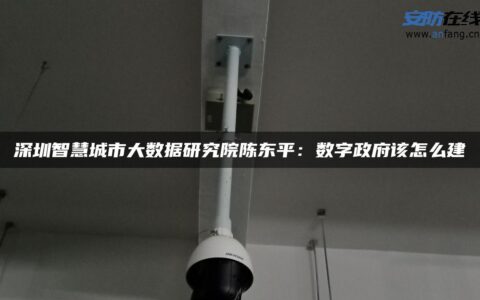 深圳智慧城市大数据研究院陈东平：数字政府该怎么建