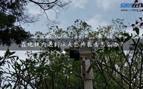 在地铁内遇到纵火恐怖袭击怎么办？