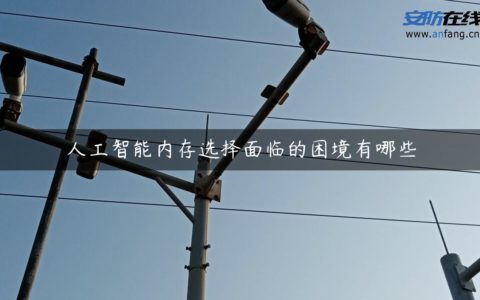 人工智能内存选择面临的困境有哪些