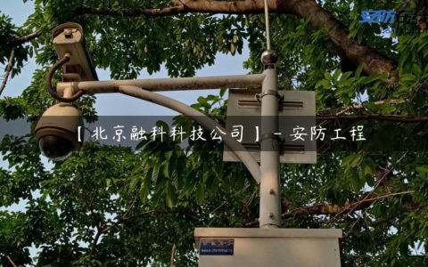 【北京融科科技公司】 - 安防工程