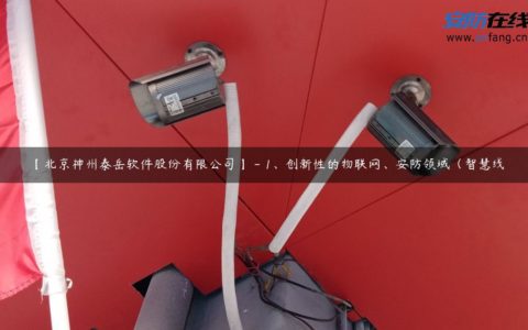 【北京神州泰岳软件股份有限公司】 - 1、创新性的物联网、安防领域（智慧线