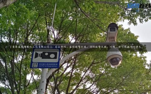 【青岛盛元智能化工程有限公司】- 综合布线；监控报警系统；消防报警系统；可视_非可视楼宇对讲系...