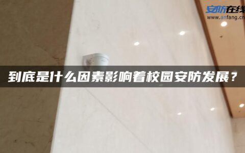 到底是什么因素影响着校园安防发展？