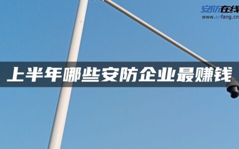 上半年哪些安防企业最赚钱