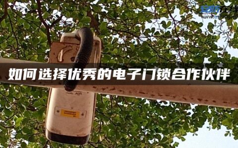 如何选择优秀的电子门锁合作伙伴
