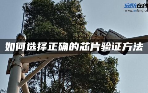 如何选择正确的芯片验证方法