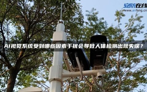 AI视觉系统受到哪些因素干扰会导致人体检测出现失误？