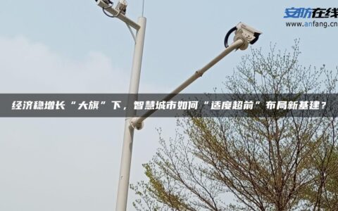 经济稳增长“大旗”下，智慧城市如何“适度超前”布局新基建？
