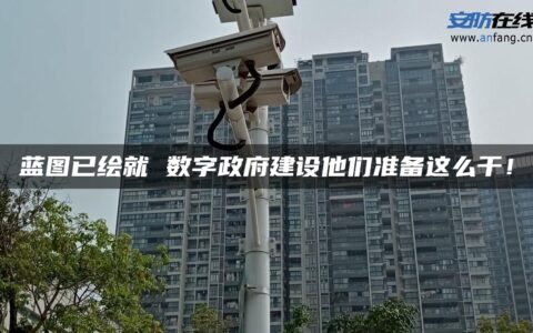 蓝图已绘就 数字政府建设他们准备这么干！