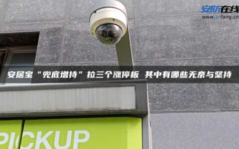 安居宝“兜底增持”拉三个涨停板 其中有哪些无奈与坚持