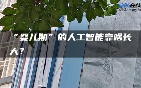 “婴儿期”的人工智能靠啥长大？