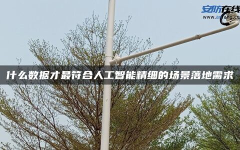 什么数据才最符合人工智能精细的场景落地需求