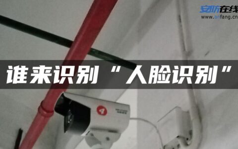 谁来识别“人脸识别”