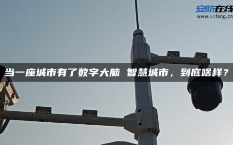 当一座城市有了数字大脑 智慧城市，到底啥样？