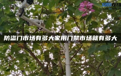 防盗门市场有多大家用门禁市场就有多大