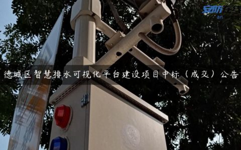 德城区智慧排水可视化平台建设项目中标（成交）公告
