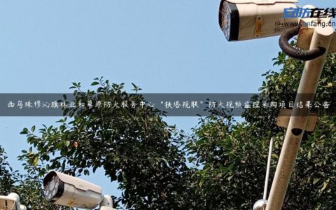 西乌珠穆沁旗林业和草原防火服务中心“铁塔视联”防火视频监控采购项目结果公告