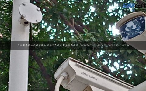 广西智博招标代理有限公司关于天峨县智慧应急项目（HCZC2023-G3-220025-GXZB）的中标公告