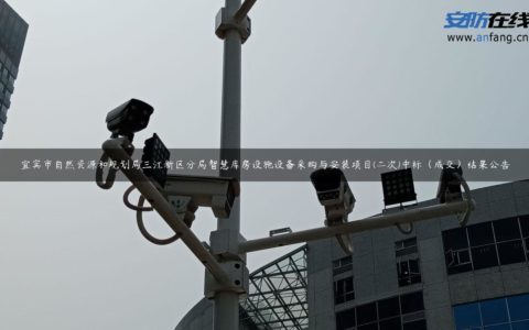 宜宾市自然资源和规划局三江新区分局智慧库房设施设备采购与安装项目(二次)中标（成交）结果公告