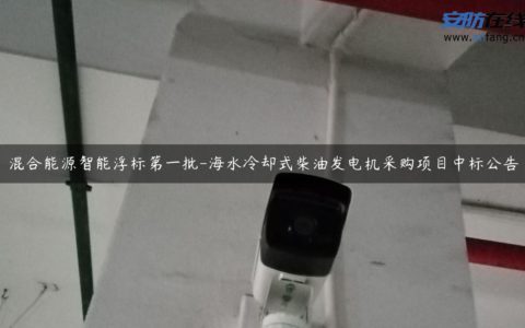 混合能源智能浮标第一批-海水冷却式柴油发电机采购项目中标公告