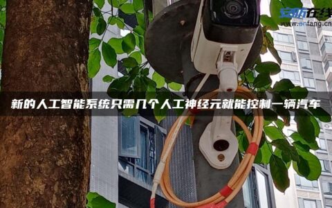 新的人工智能系统只需几个人工神经元就能控制一辆汽车