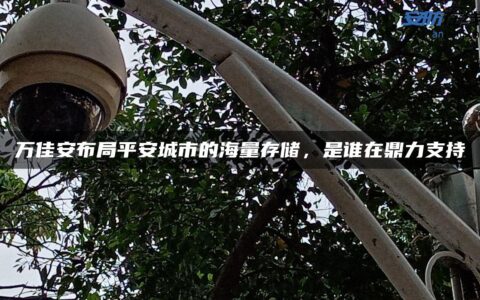 万佳安布局平安城市的海量存储，是谁在鼎力支持