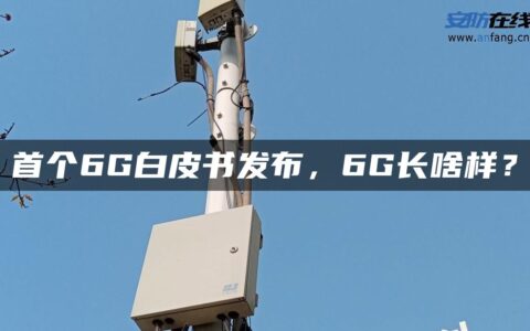 首个6G白皮书发布，6G长啥样？