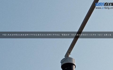 中国人民政治协商会议陕西省铜川市印台区委员会办公室铜川市印台区“智慧政协”信息化建设采购项目(二次)中标（成交）结果公告