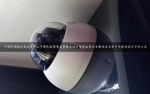 中国民用航空局信息中心中国民航智慧监管服务项目智慧监管业务模块及业务中台建设项目中标公告