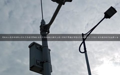 同致诚工程咨询有限公司关于贵港市覃塘区自然灾害救援能力提升工程—贵港市覃塘区智慧应急和指挥中心（平台）项目建设的中标结果公告