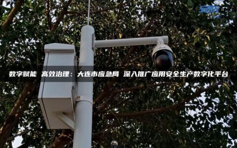 数字赋能 高效治理：大连市应急局 深入推广应用安全生产数字化平台