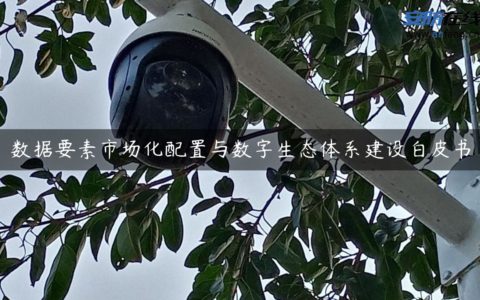 数据要素市场化配置与数字生态体系建设白皮书
