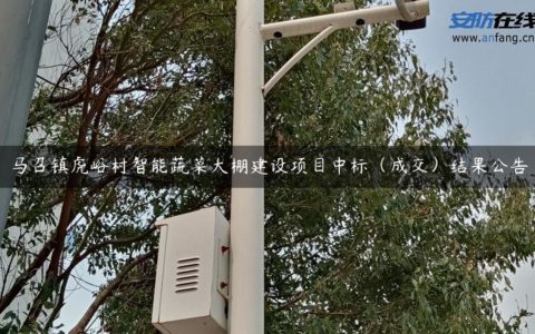 马召镇虎峪村智能蔬菜大棚建设项目中标（成交）结果公告