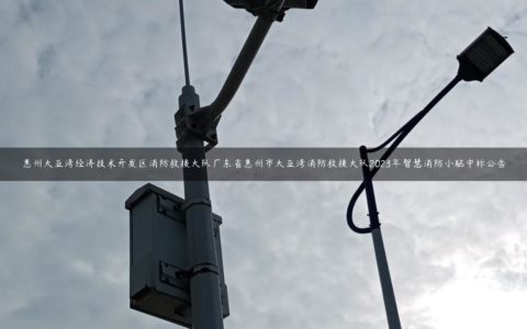 惠州大亚湾经济技术开发区消防救援大队广东省惠州市大亚湾消防救援大队2023年智慧消防小脑中标公告