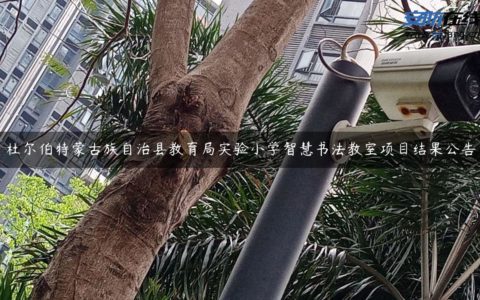 杜尔伯特蒙古族自治县教育局实验小学智慧书法教室项目结果公告