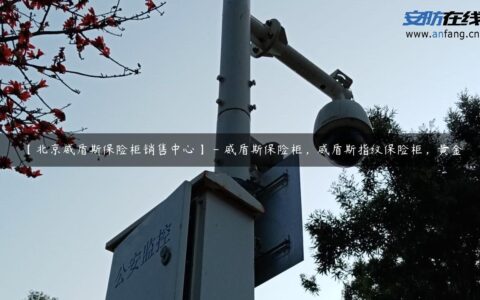 【北京威盾斯保险柜销售中心】 – 威盾斯保险柜，威盾斯指纹保险柜，黄金