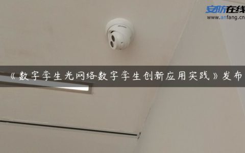 《数字孪生光网络数字孪生创新应用实践》发布