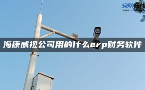 海康威视公司用的什么erp财务软件