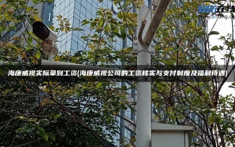 海康威视实际拿到工资(海康威视公司的工资核实与支付制度及福利待遇)