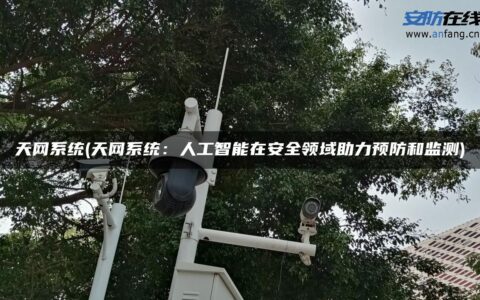 天网系统(天网系统：人工智能在安全领域助力预防和监测)