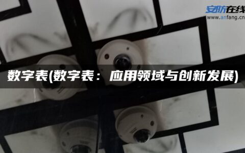 数字表(数字表：应用领域与创新发展)