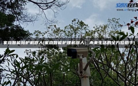 家庭智能陪护机器人(家庭智能护理机器人：未来生活的全方位助手)