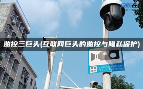 监控三巨头(互联网巨头的监控与隐私保护)