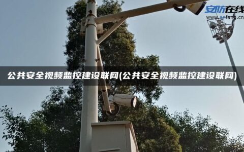 公共安全视频监控建设联网(公共安全视频监控建设联网)